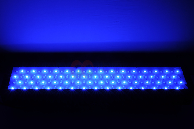 LEDƾ߲աLEDƾ߲ƷӰLEDƾ߲Ʒ